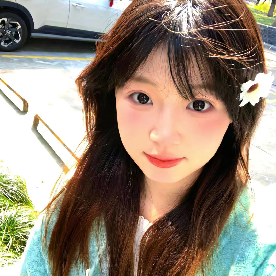 我的中国芯
