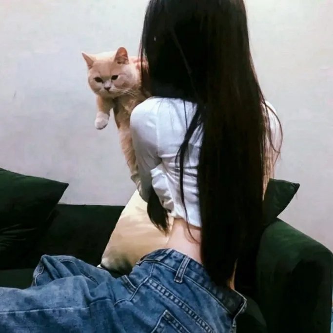 新青春之歌